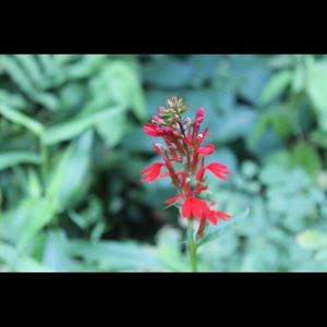 Meet your Posher, Gabriell